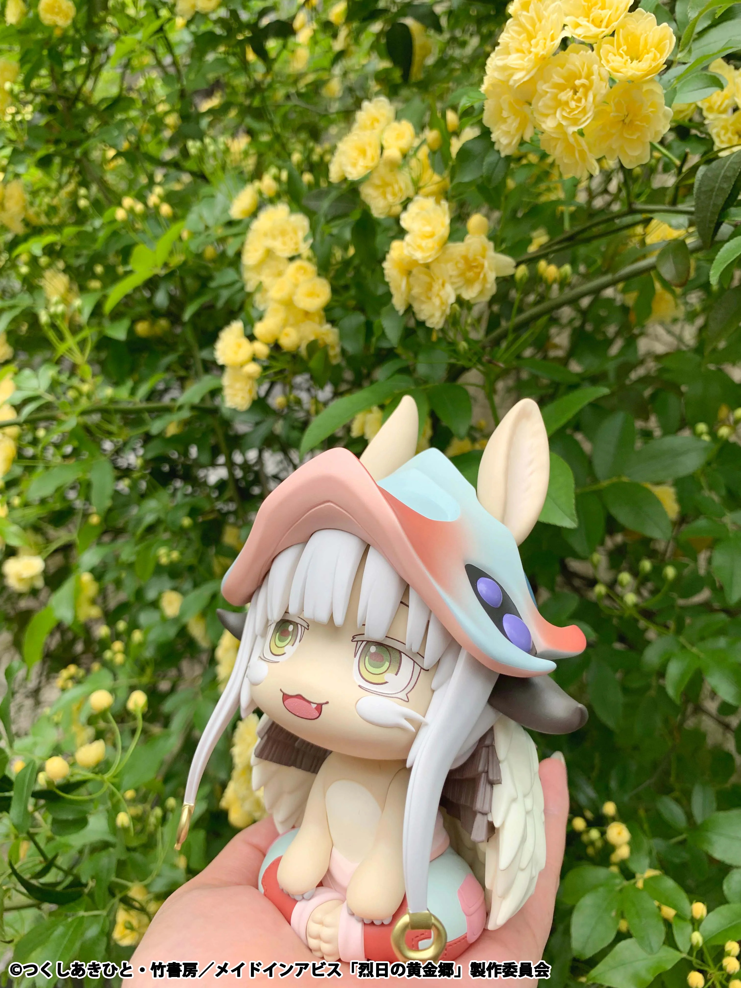 Lookup Nanachi (Re-Run) - Image 13