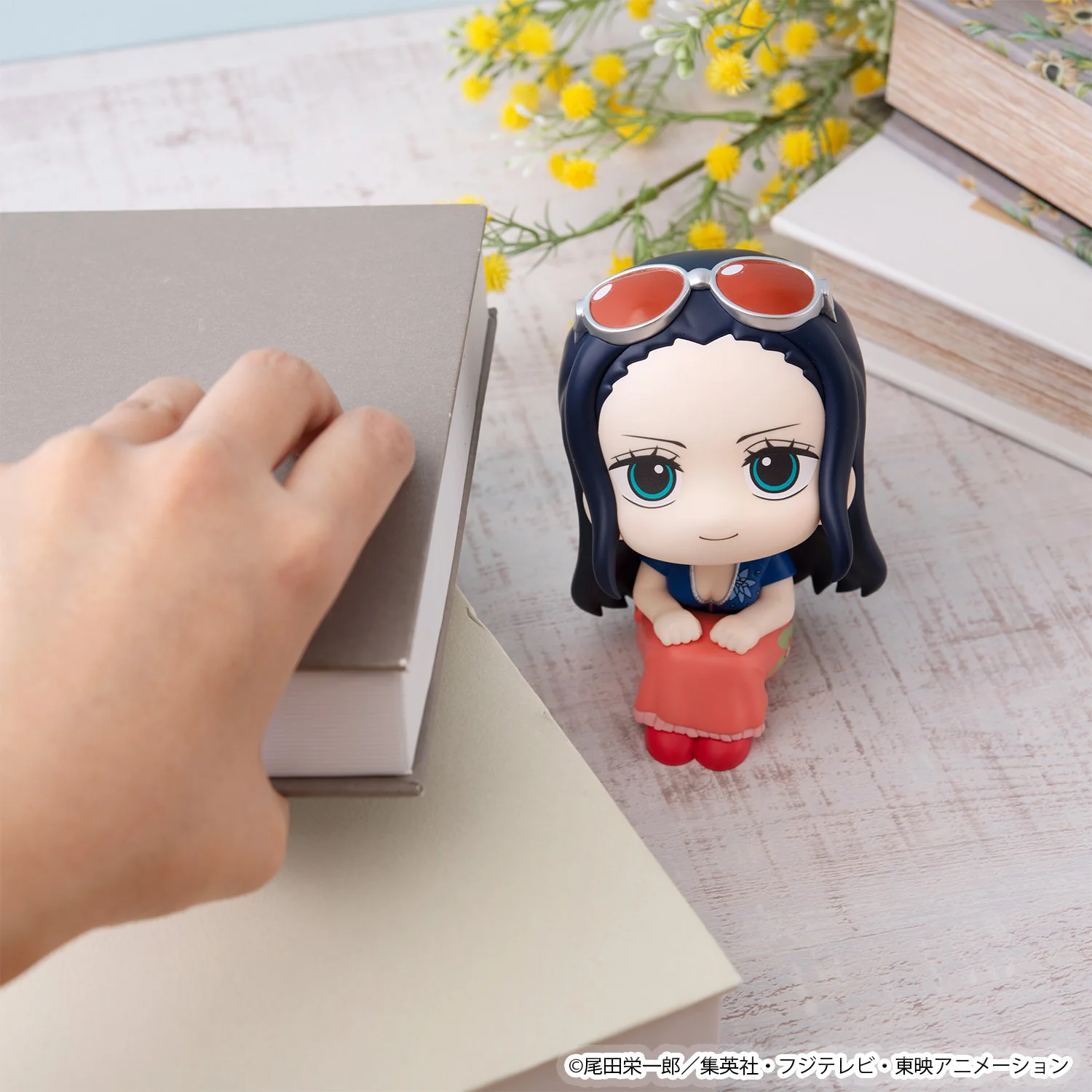 Lookup Nico Robin - Image 7