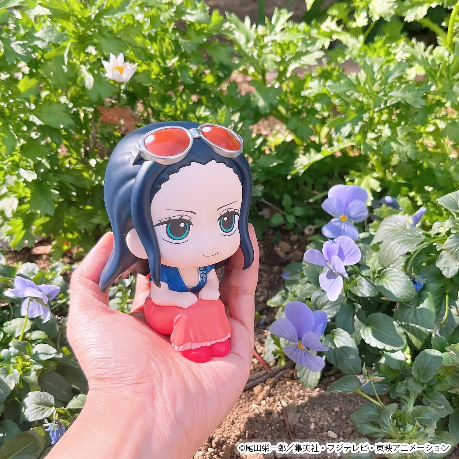 Lookup Nico Robin - Image 9