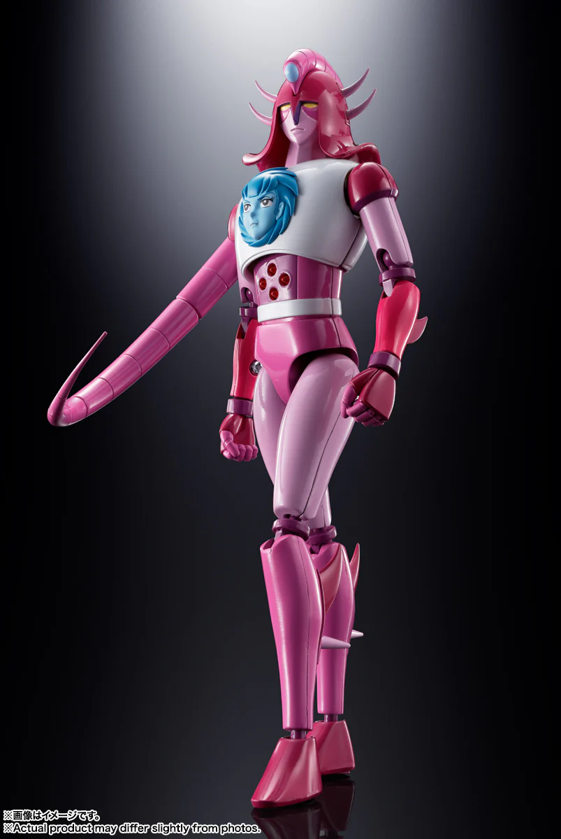 Soul of Chogokin GX-108 Rhein X1 & GX-11R Dianan A - Image 4